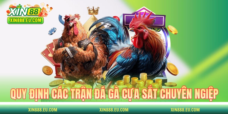 Quy định trong các trận đá gà cựa sắt chuyên ngiệp