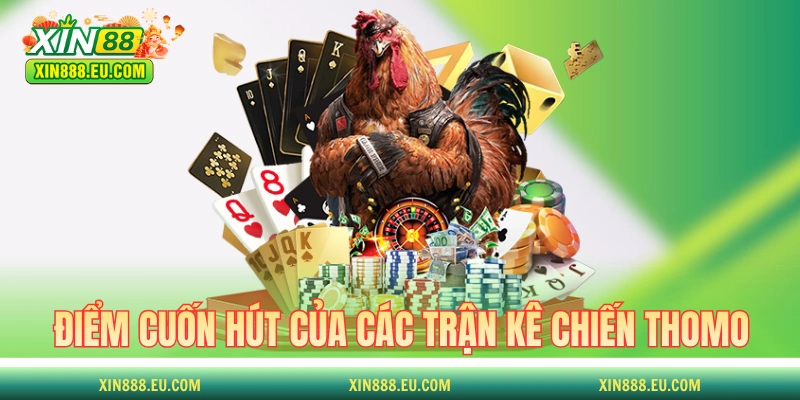 Những điểm cuốn hút của các trận kê chiến Thomo