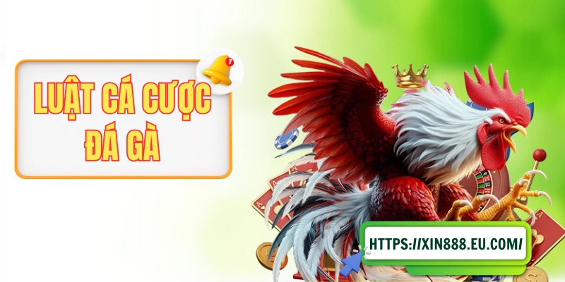 Luật Cá Cược Đá Gà Mà Hội Viên Cần Nắm Trước Khi Vào Tiền